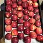 яблоки свежие  в Нальчике и Кабардино-Балкарской республике 8
