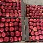 яблоки свежие  в Нальчике и Кабардино-Балкарской республике 6
