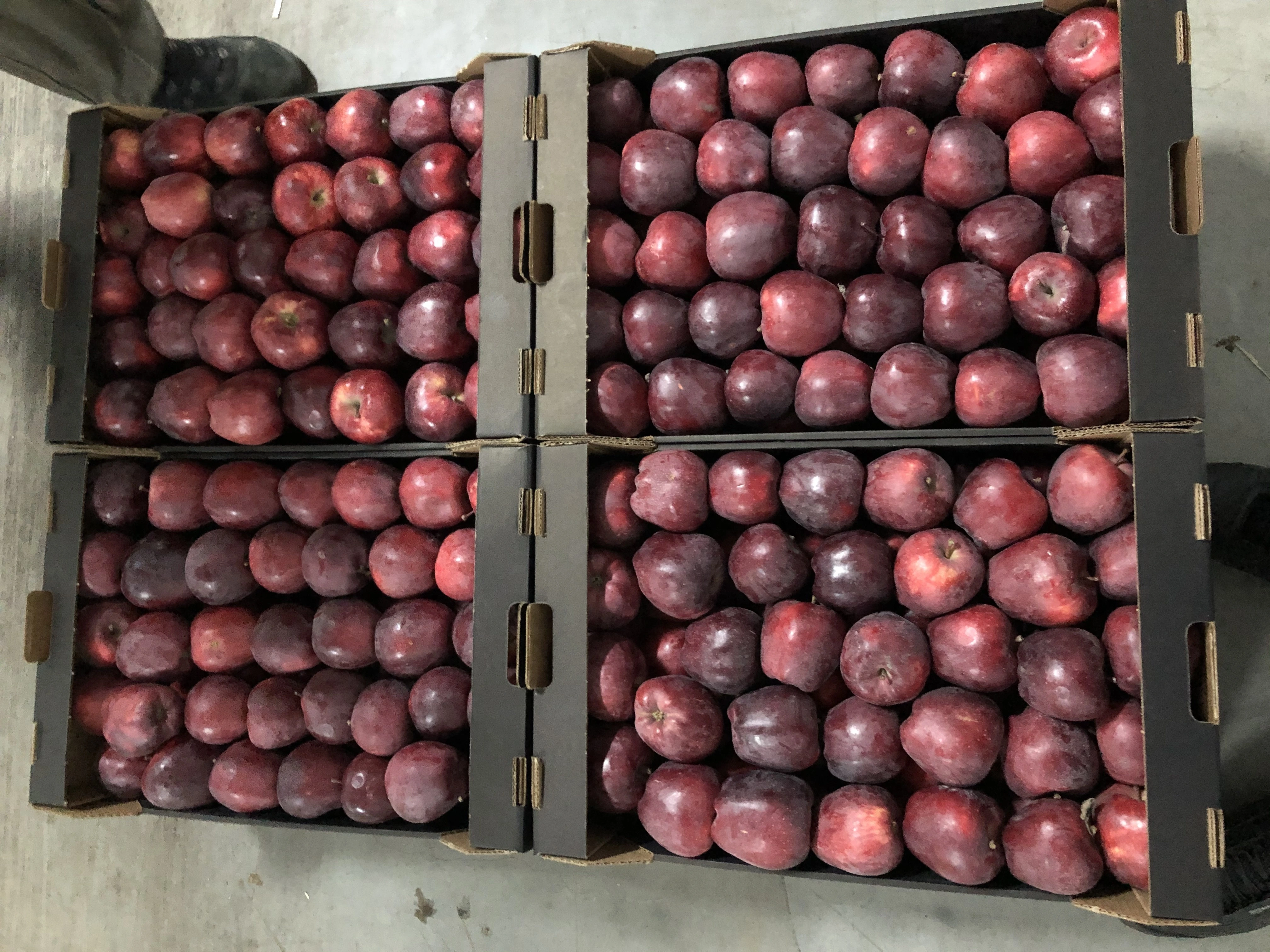 яблоки свежие  в Нальчике и Кабардино-Балкарской республике 4