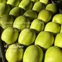 оптовая продажа яблок разных сортов в Нальчике и Кабардино-Балкарской республике